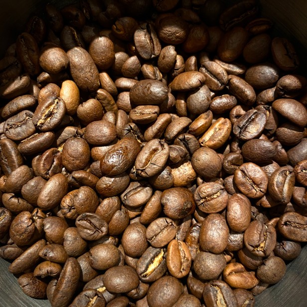 robusta